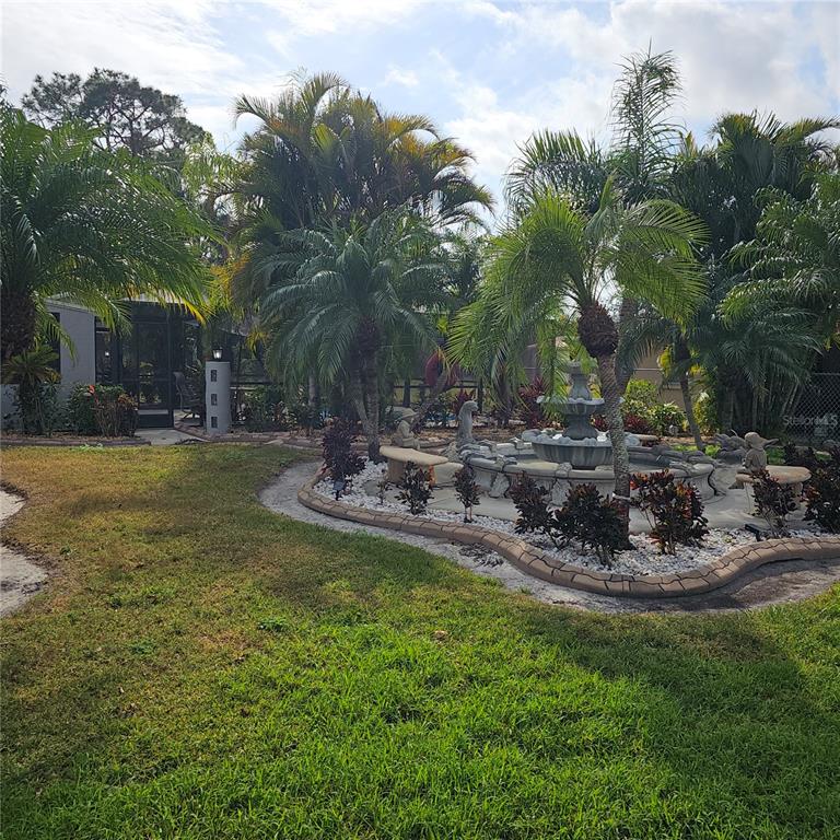 901 8th Street Southwest Ruskin, FL 33570 - Photo 21 of 27 a view of a backyard with palm trees