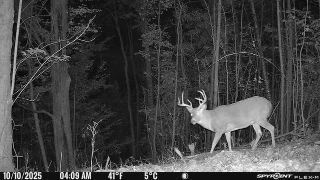 $189,000 | 40-acres 150th Avenue, Leroy, MI 49655