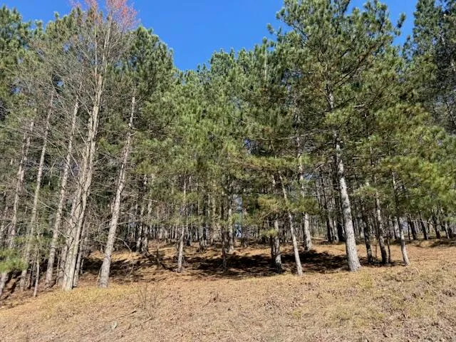 $189,000 | 40-acres 150th Avenue, Leroy, MI 49655