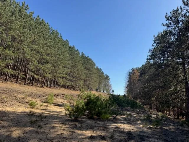 $189,000 | 40-acres 150th Avenue, Leroy, MI 49655