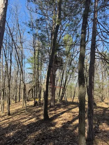 $189,000 | 40-acres 150th Avenue, Leroy, MI 49655