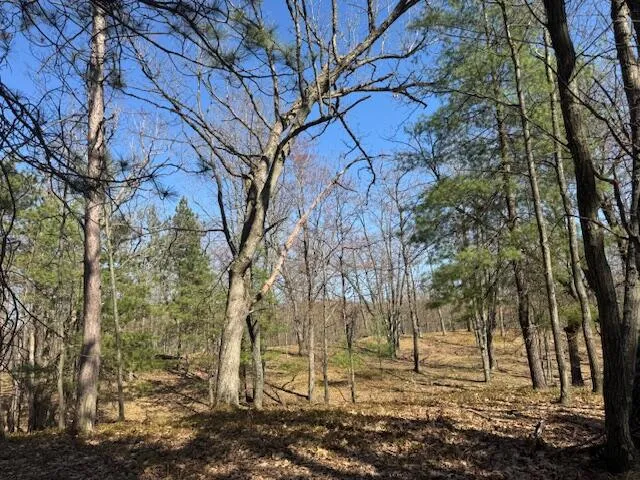 $189,000 | 40-acres 150th Avenue, Leroy, MI 49655