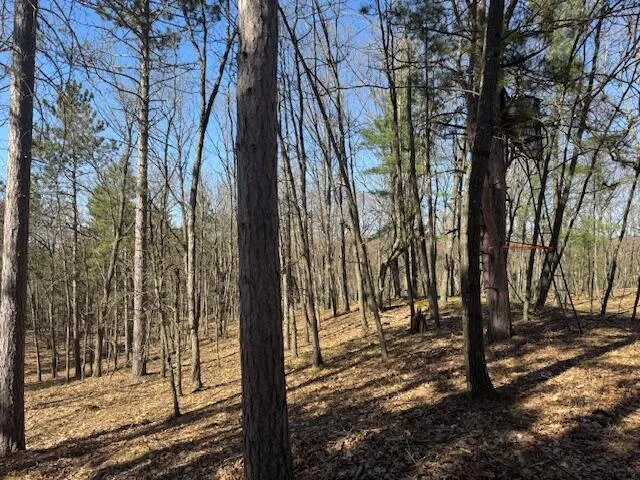 $189,000 | 40-acres 150th Avenue, Leroy, MI 49655