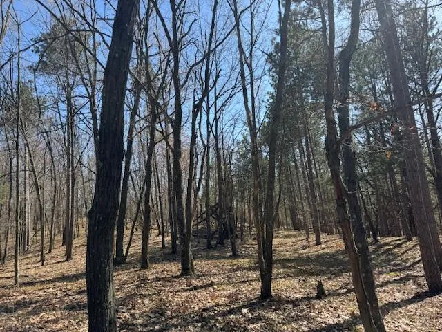 $189,000 | 40-acres 150th Avenue, Leroy, MI 49655