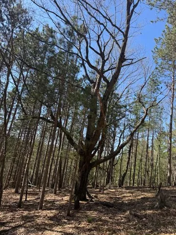 $189,000 | 40-acres 150th Avenue, Leroy, MI 49655