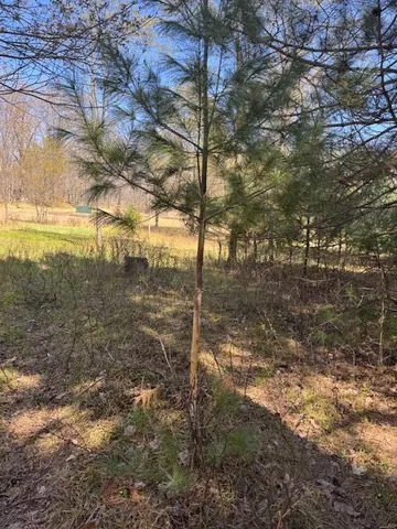 $189,000 | 40-acres 150th Avenue, Leroy, MI 49655