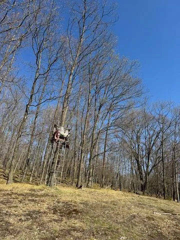 $189,000 | 40-acres 150th Avenue, Leroy, MI 49655