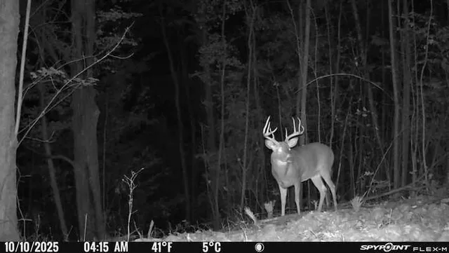 $189,000 | 40-acres 150th Avenue, Leroy, MI 49655