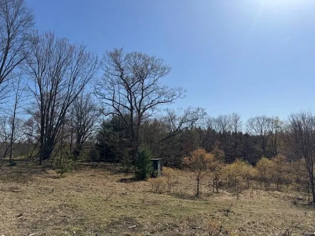 $189,000 | 40-acres 150th Avenue, Leroy, MI 49655