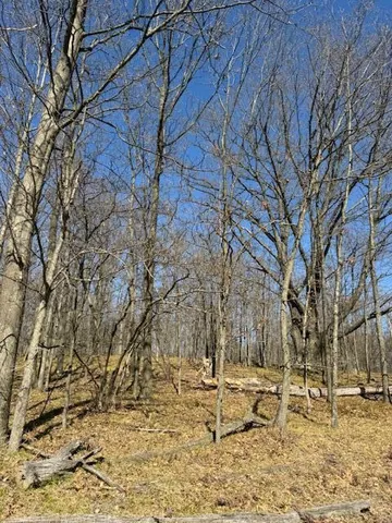 $189,000 | 40-acres 150th Avenue, Leroy, MI 49655