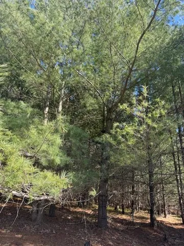 $189,000 | 40-acres 150th Avenue, Leroy, MI 49655