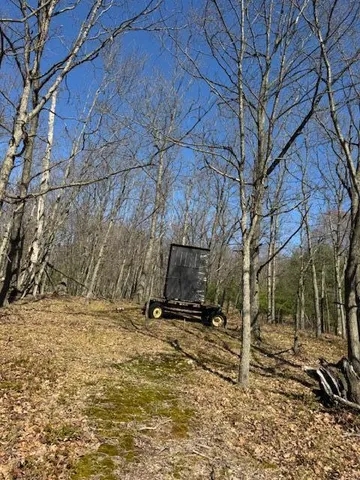 $189,000 | 40-acres 150th Avenue, Leroy, MI 49655