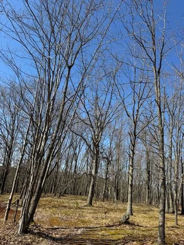 $189,000 | 40-acres 150th Avenue, Leroy, MI 49655