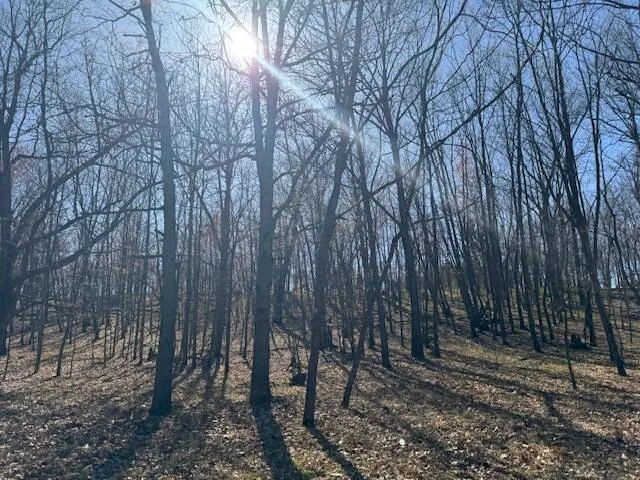 $189,000 | 40-acres 150th Avenue, Leroy, MI 49655