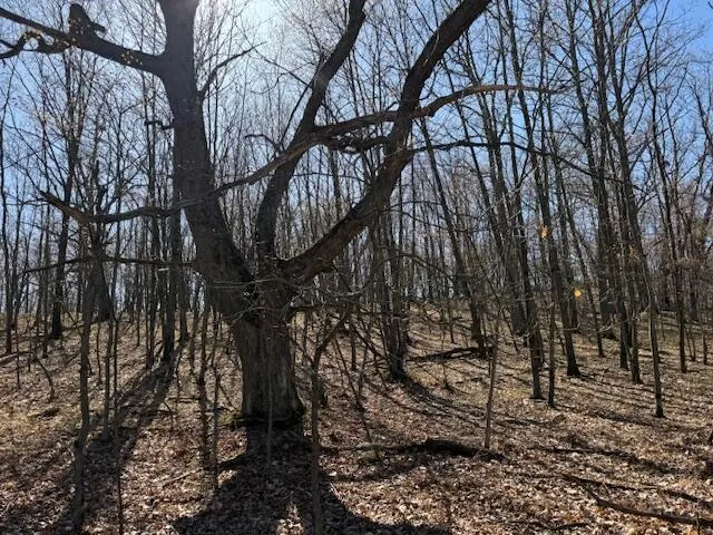 $189,000 | 40-acres 150th Avenue, Leroy, MI 49655