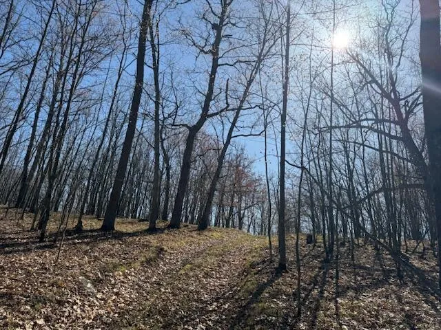 $189,000 | 40-acres 150th Avenue, Leroy, MI 49655