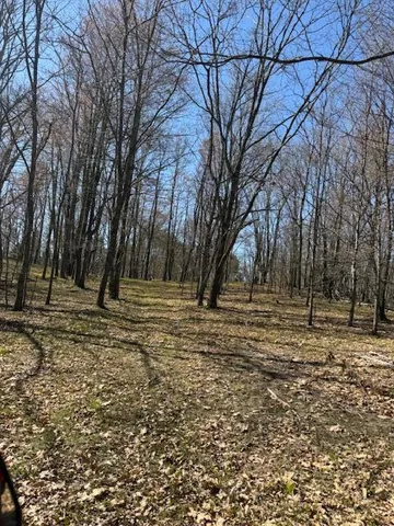 $189,000 | 40-acres 150th Avenue, Leroy, MI 49655