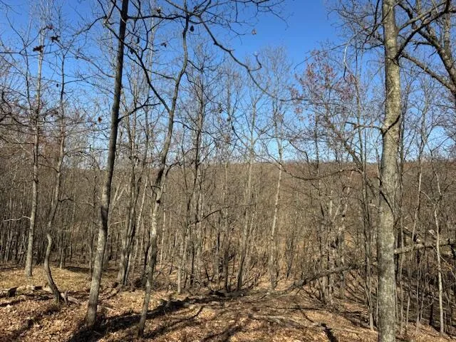 $189,000 | 40-acres 150th Avenue, Leroy, MI 49655