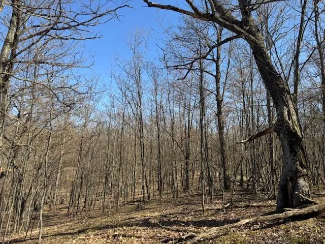 $189,000 | 40-acres 150th Avenue, Leroy, MI 49655