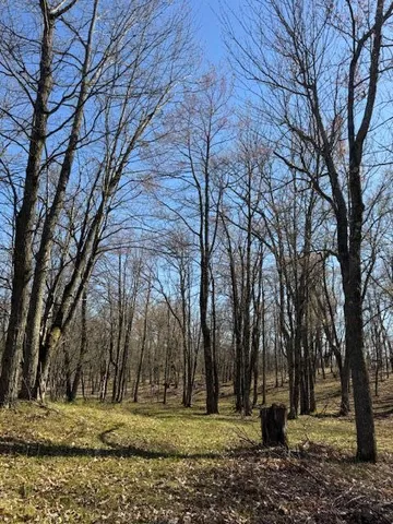 $189,000 | 40-acres 150th Avenue, Leroy, MI 49655