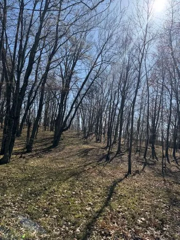 $189,000 | 40-acres 150th Avenue, Leroy, MI 49655