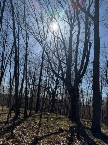 $189,000 | 40-acres 150th Avenue, Leroy, MI 49655