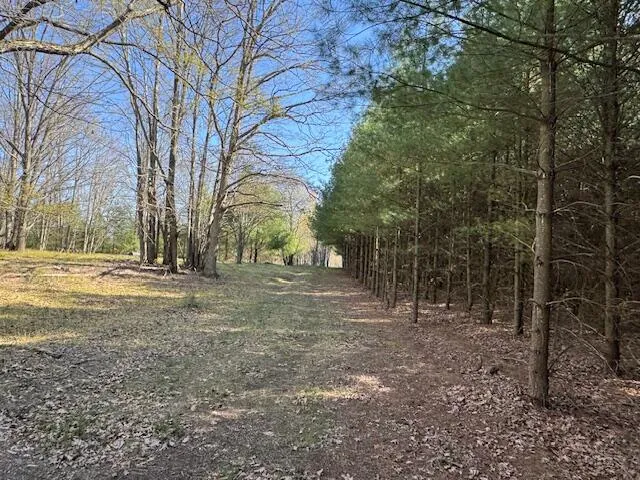 $189,000 | 40-acres 150th Avenue, Leroy, MI 49655