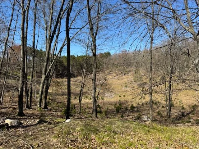 $189,000 | 40-acres 150th Avenue, Leroy, MI 49655