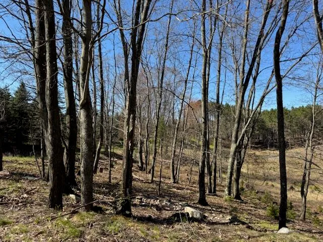 $189,000 | 40-acres 150th Avenue, Leroy, MI 49655