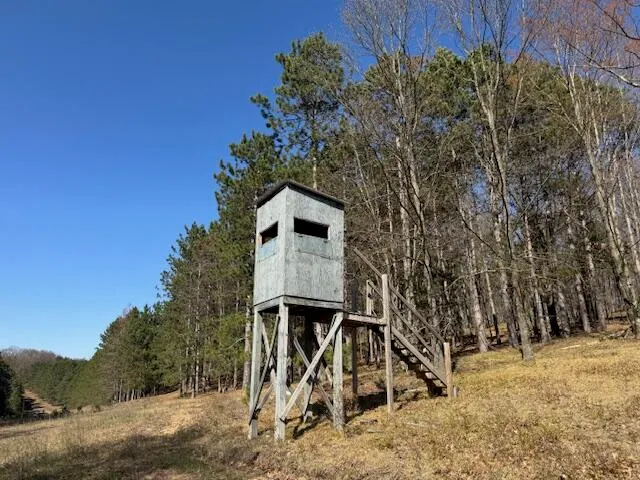 $189,000 | 40-acres 150th Avenue, Leroy, MI 49655