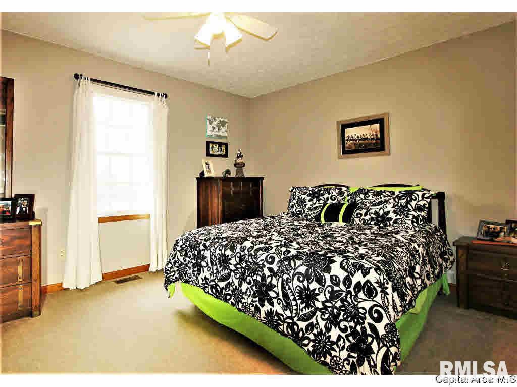 3183 Otter Lane Springfield, IL 62712 - Photo 18 of 26 Gallery Image 18