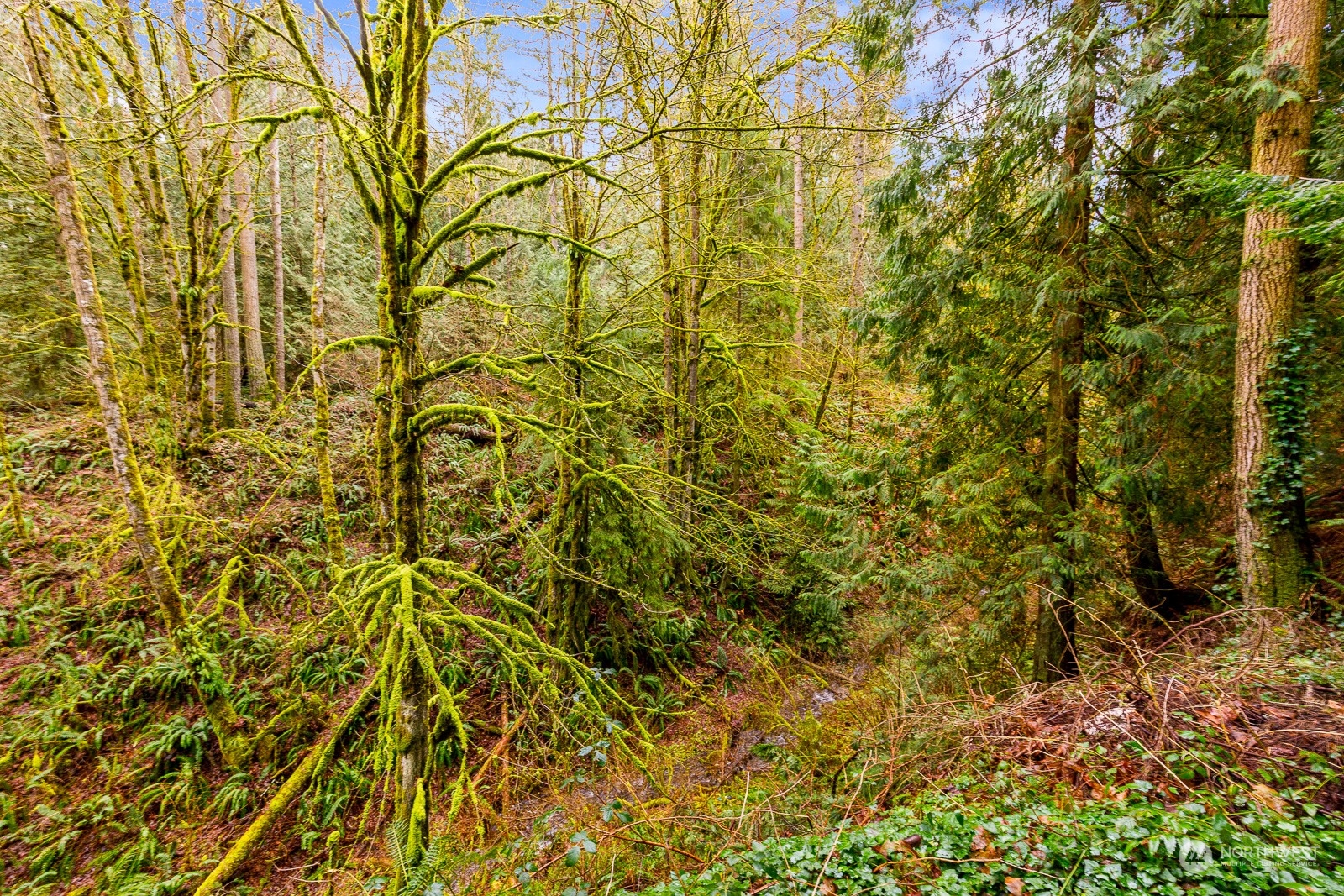 13640 197th Avenue Southeast Renton, WA 98059 - Photo 34 of 34 Gallery Image 34