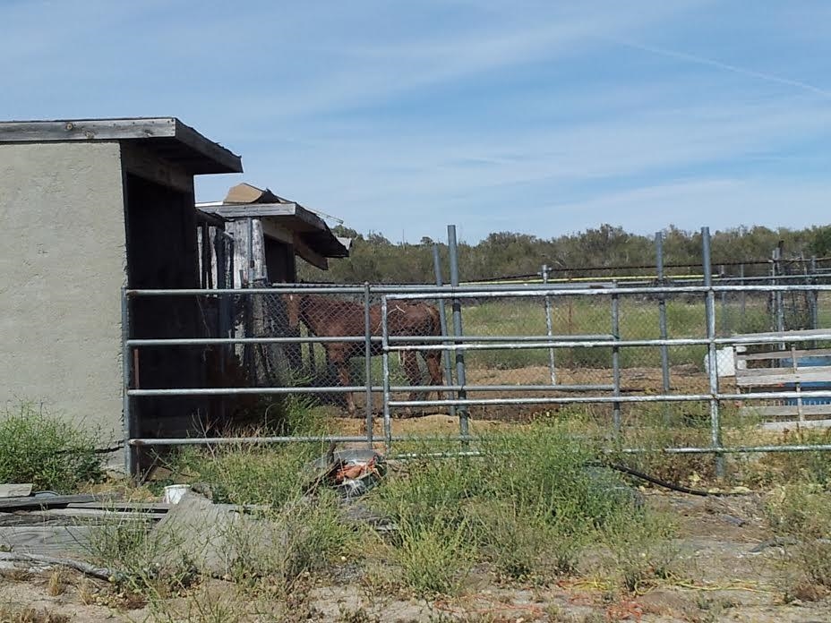 Corrals