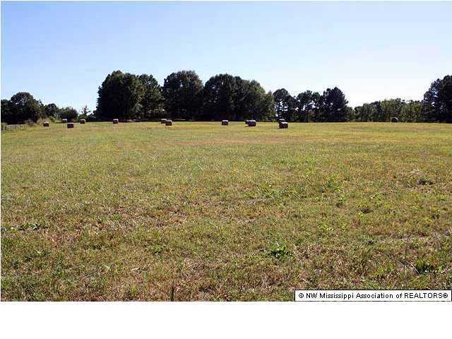 1285 Gaines Road Hernando, MS 38632 - Photo 4 of 26 Additional Photo