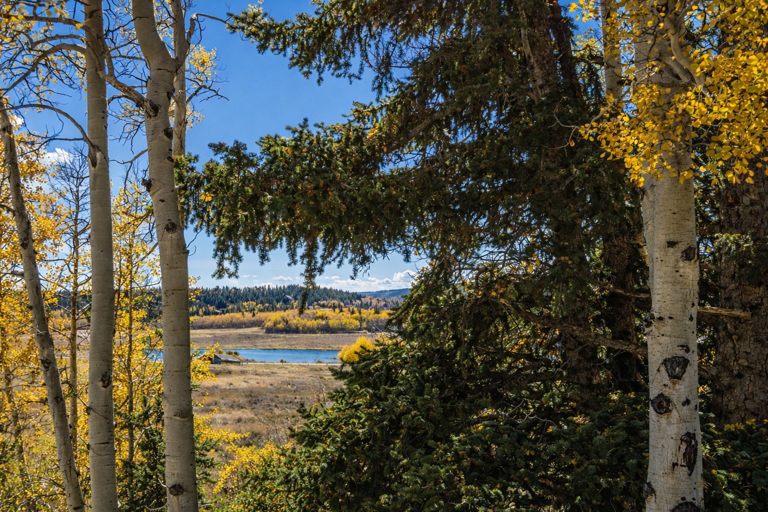 155 Lamb Mountain Road Fairplay, CO 80440 - Photo 30 of 48 a view of a lake view