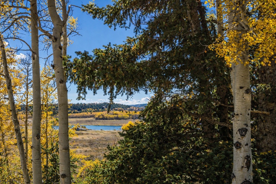 155 Lamb Mountain Road Fairplay, CO 80440 - Photo 30 of 48 Water view