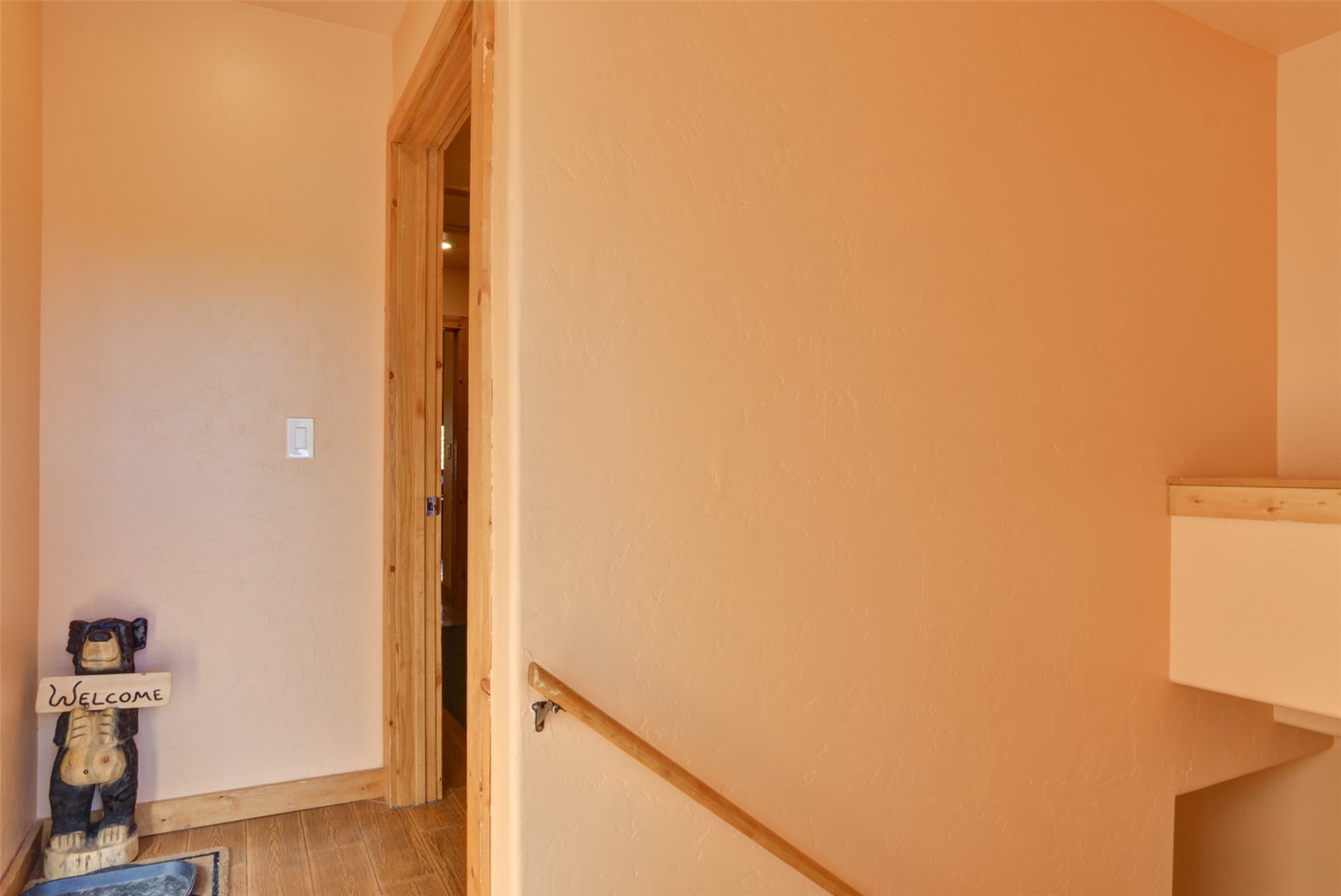 155 Lamb Mountain Road Fairplay, CO 80440 - Photo 3 of 48 Entryway