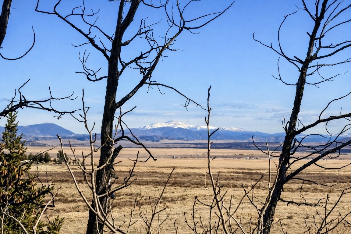 155 Lamb Mountain Road Fairplay, CO 80440 - Photo 43 of 48 Mountain view featuring rural landscape