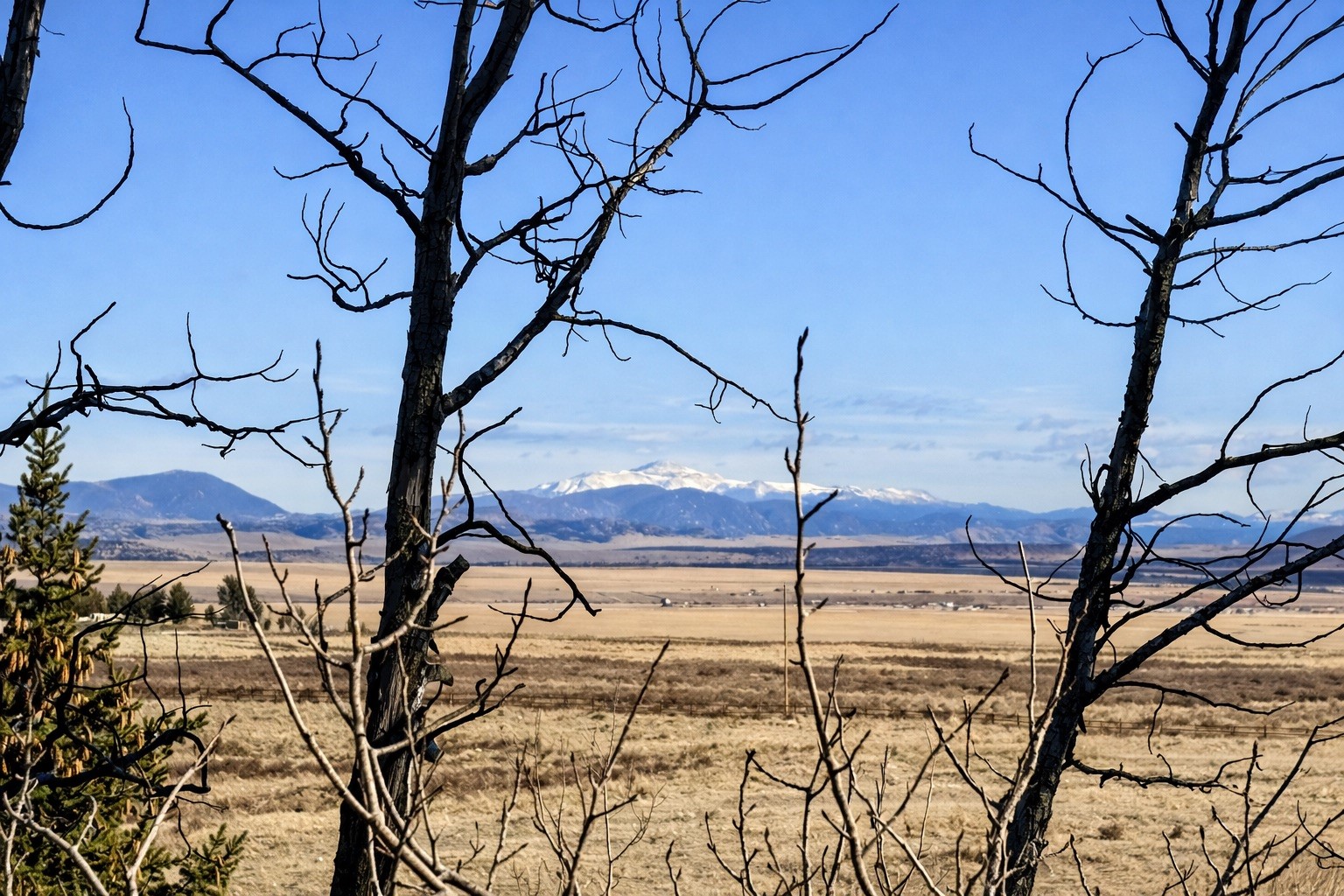 155 Lamb Mountain Road Fairplay, CO 80440 - Photo 43 of 48 a view of a backyard of the house