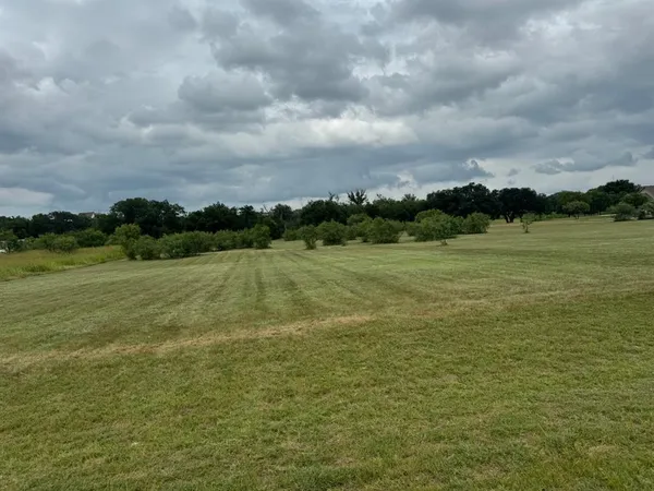 a view of a field with an ocean