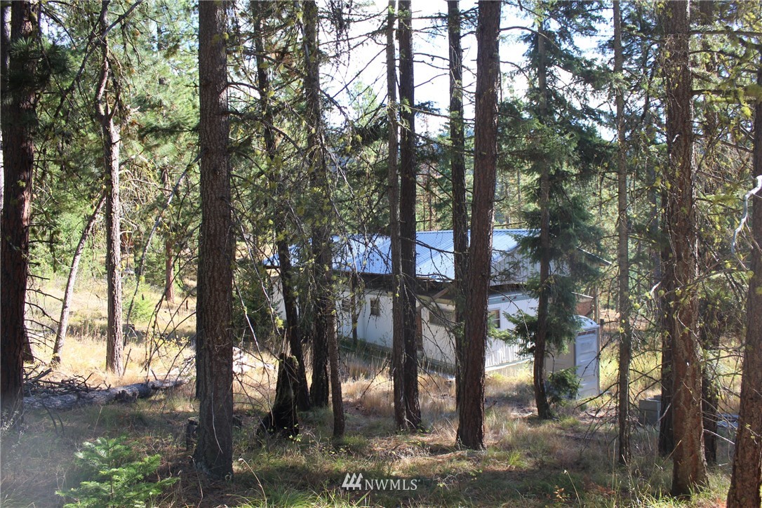 500 Harkness Road Cle Elum, WA 98922 - Photo 20 of 38 Gallery Image 20