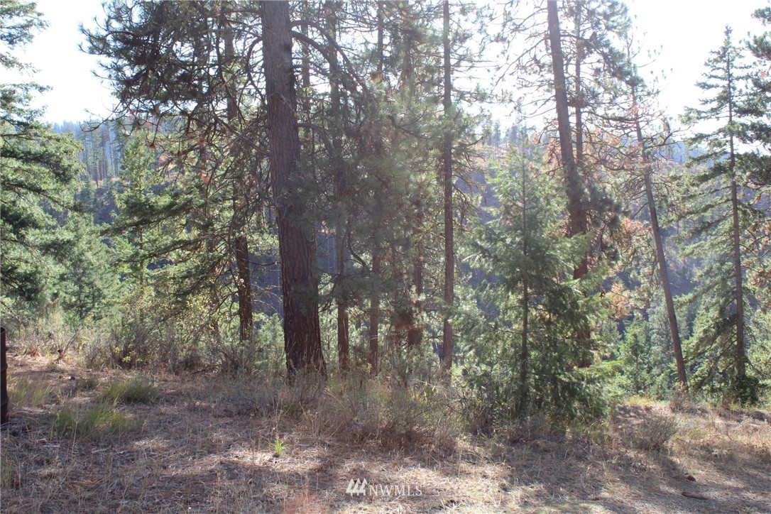 500 Harkness Road Cle Elum, WA 98922 - Photo 21 of 38 Gallery Image 21