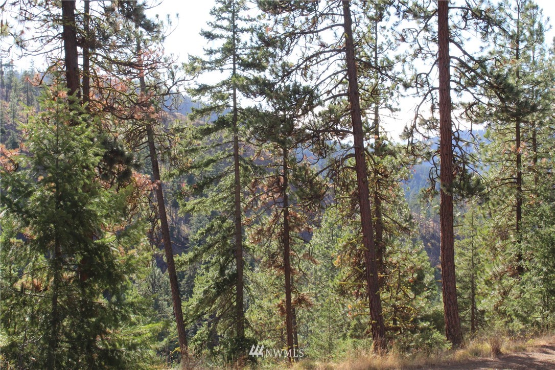 500 Harkness Road Cle Elum, WA 98922 - Photo 22 of 38 Gallery Image 22