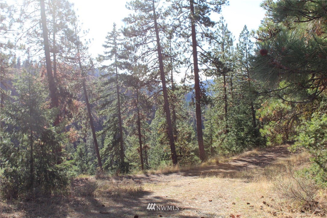 500 Harkness Road Cle Elum, WA 98922 - Photo 23 of 38 Gallery Image 23