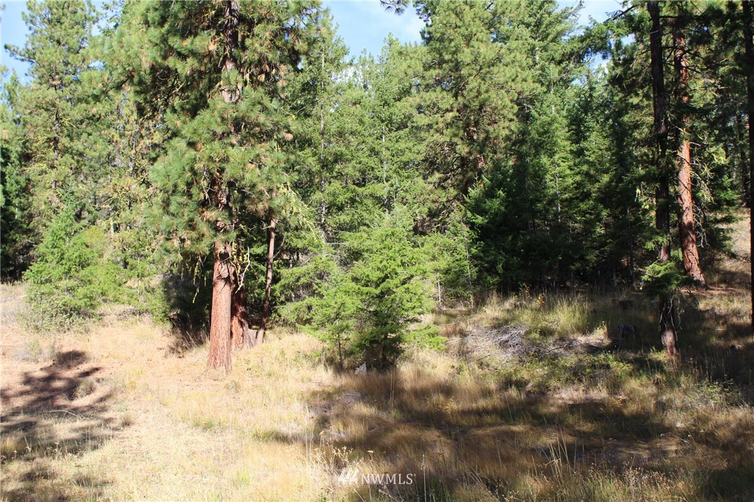 500 Harkness Road Cle Elum, WA 98922 - Photo 25 of 38 Gallery Image 25