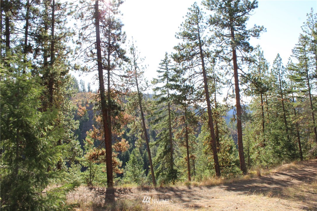 500 Harkness Road Cle Elum, WA 98922 - Photo 26 of 38 Gallery Image 26