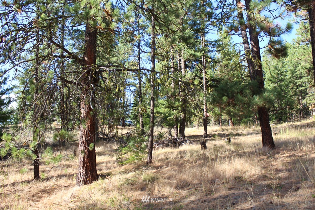 500 Harkness Road Cle Elum, WA 98922 - Photo 27 of 38 Gallery Image 27