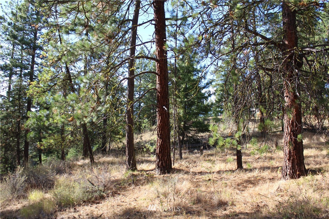 500 Harkness Road Cle Elum, WA 98922 - Photo 28 of 38 Gallery Image 28