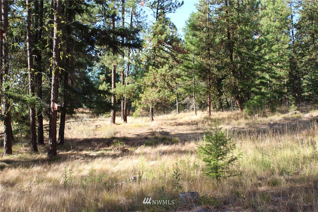 500 Harkness Road Cle Elum, WA 98922 - Photo 29 of 38 Gallery Image 29
