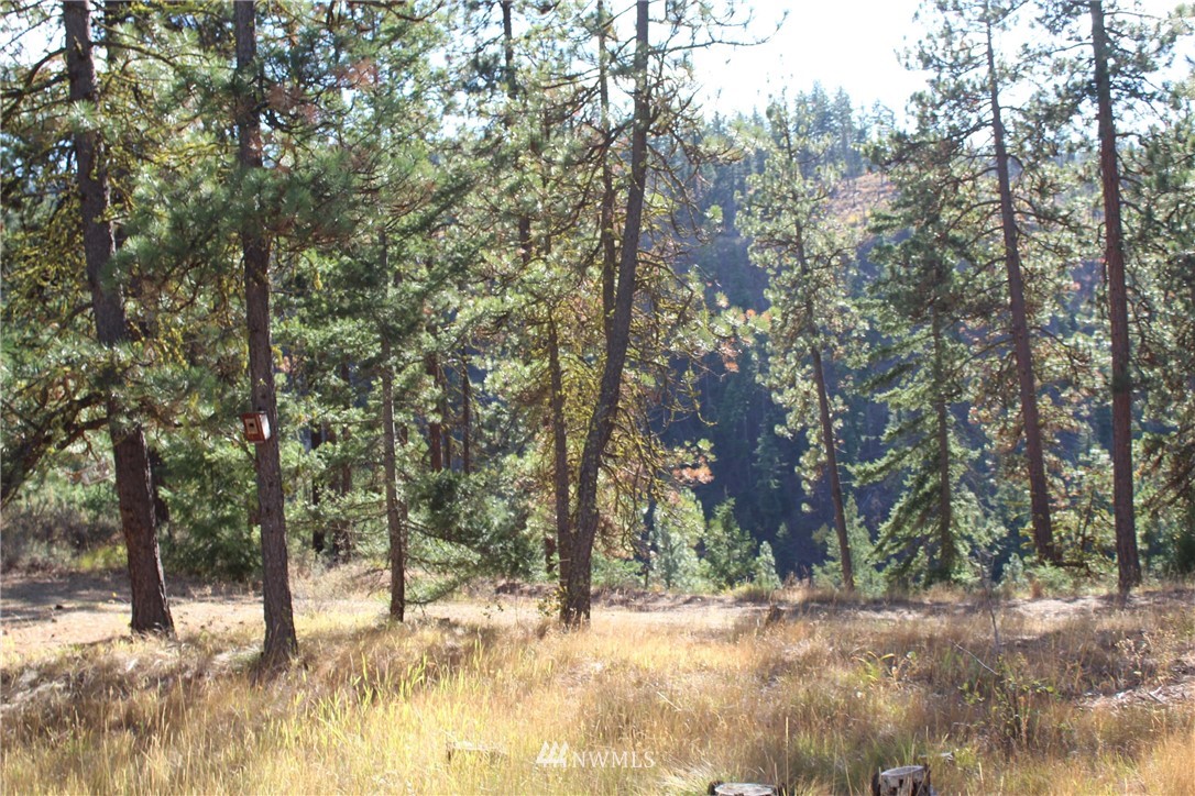 500 Harkness Road Cle Elum, WA 98922 - Photo 33 of 38 Gallery Image 33